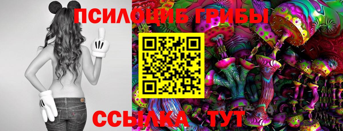 Сокол  Галлюциногенные грибы Magic Shrooms  Вход с VPN  Галлюциногенные грибы прущие грибы 
