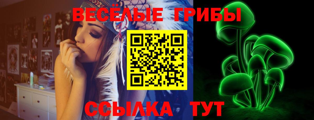 Псилоцибиновые грибы Psilocybine cubensis Сокол